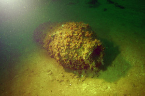 Tödliche Gefahr unter Wasser: Eine versenkte Kampfstoffbombe. Foto: Stefan Nehring 